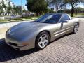 1999 Corvette Coupe #24