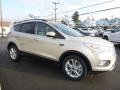 2017 Escape SE 4WD #3 2017 Escape SE 4WD #3