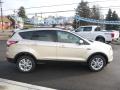 2017 Escape SE 4WD #4 2017 Escape SE 4WD #4