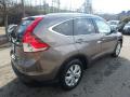 2013 CR-V EX-L AWD #5