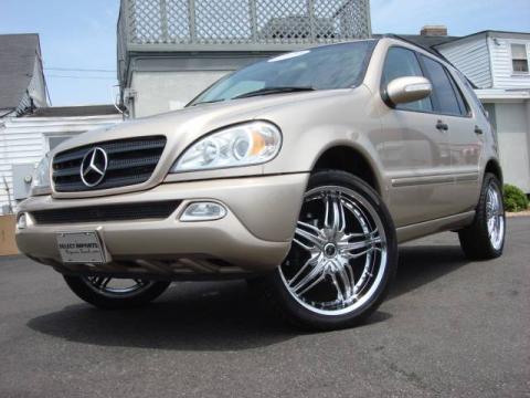 Desert Silver Metallic Mercedes-Benz ML 320 4Matic.  Click to enlarge.