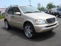 2003 ML 320 4Matic #8