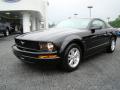 2008 Mustang V6 Deluxe Coupe #6
