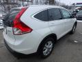2014 CR-V EX-L AWD #6