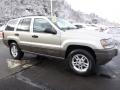 2004 Grand Cherokee Laredo 4x4 #9 2004 Grand Cherokee Laredo 4x4 #9