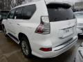 2017 GX 460 Luxury #3