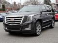 Front 3/4 View of 2017 Cadillac Escalade Luxury 4WD #3