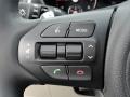 Controls of 2017 Kia Sorento EX AWD #23