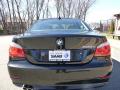 2009 5 Series 528xi Sedan #4