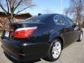 2009 5 Series 528xi Sedan #5