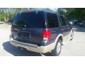 2006 Expedition Eddie Bauer #3