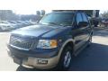 2006 Expedition Eddie Bauer #7