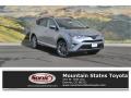 2017 RAV4 Platinum #1 2017 RAV4 Platinum #1