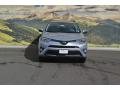 2017 RAV4 Platinum #2 2017 RAV4 Platinum #2