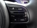 Controls of 2017 Kia Niro EX Hybrid #21