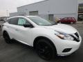 Front 3/4 View of 2017 Nissan Murano Platinum AWD #1