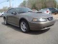 2002 Mustang GT Coupe #7