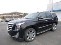 Front 3/4 View of 2017 Cadillac Escalade Premium Luxury 4WD #2
