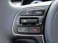 Controls of 2017 Kia Niro LX Hybrid #21