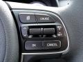 Controls of 2017 Kia Niro LX Hybrid #22
