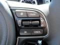 Controls of 2017 Kia Niro FE Hybrid #19