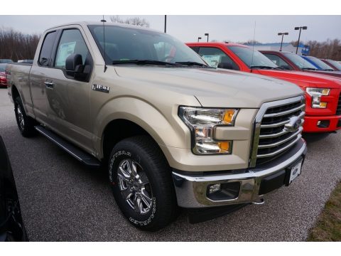 White Gold Ford F150 XLT SuperCab 4x4.  Click to enlarge.
