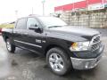 2017 1500 Big Horn Crew Cab 4x4 #8