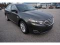 Front 3/4 View of 2017 Ford Taurus SEL #1