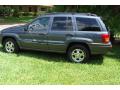 2001 Grand Cherokee Laredo 4x4 #5