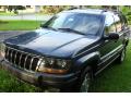 2001 Grand Cherokee Laredo 4x4 #23