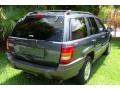 2001 Grand Cherokee Laredo 4x4 #30