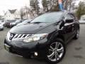 2010 Murano LE AWD #1