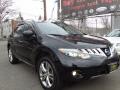 2010 Murano LE AWD #3