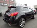 2010 Murano LE AWD #5