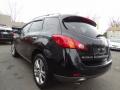 2010 Murano LE AWD #7