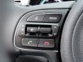 Controls of 2017 Kia Niro EX Hybrid #21