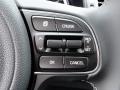 Controls of 2017 Kia Niro EX Hybrid #22