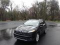2017 Cherokee Limited #2 2017 Cherokee Limited #2