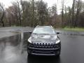2017 Cherokee Limited #3 2017 Cherokee Limited #3