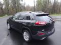 2017 Cherokee Limited #9 2017 Cherokee Limited #9