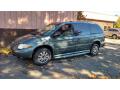  2006 Chrysler Town & Country Magnesium Pearl #11