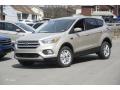 2017 Escape SE 4WD #1