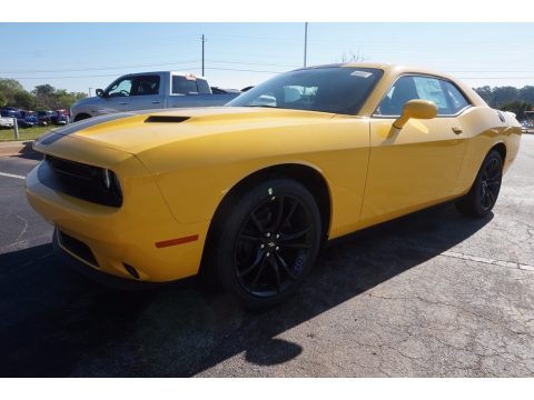 YellowJacket Dodge Challenger SXT.  Click to enlarge.