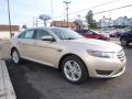 Front 3/4 View of 2017 Ford Taurus SEL #3