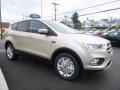 2017 Escape SE 4WD #3 2017 Escape SE 4WD #3