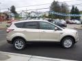 2017 Escape SE 4WD #4 2017 Escape SE 4WD #4