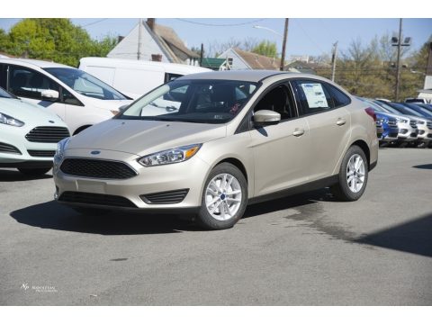 White Gold Ford Focus SE Sedan. Click to enlarge. White Gold Ford Focus SE Sedan. Click to enlarge.