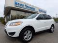 2010 Santa Fe GLS 4WD #1