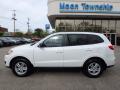 2010 Santa Fe GLS 4WD #2