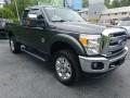 Front 3/4 View of 2015 Ford F250 Super Duty Lariat Super Cab 4x4 #9